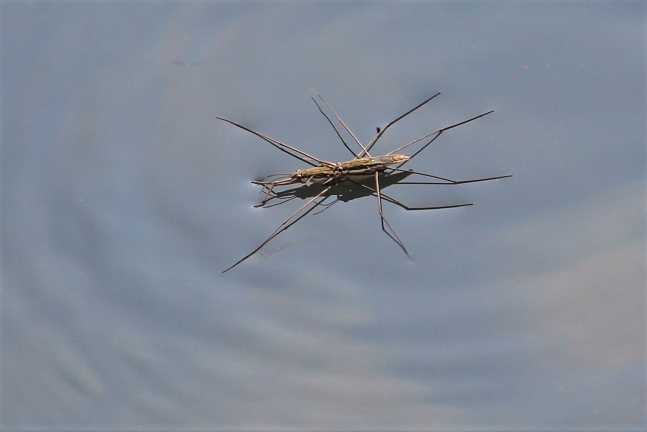 即き過ぎ俳句フォト No １４７ 八田真田八わーるど