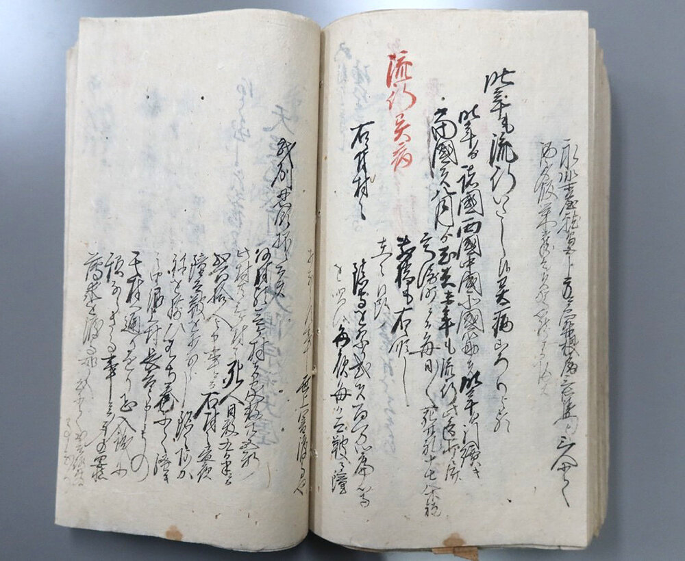 第4章 三右衛門日記のコレラ : 群馬県に残された風説留（古文書）