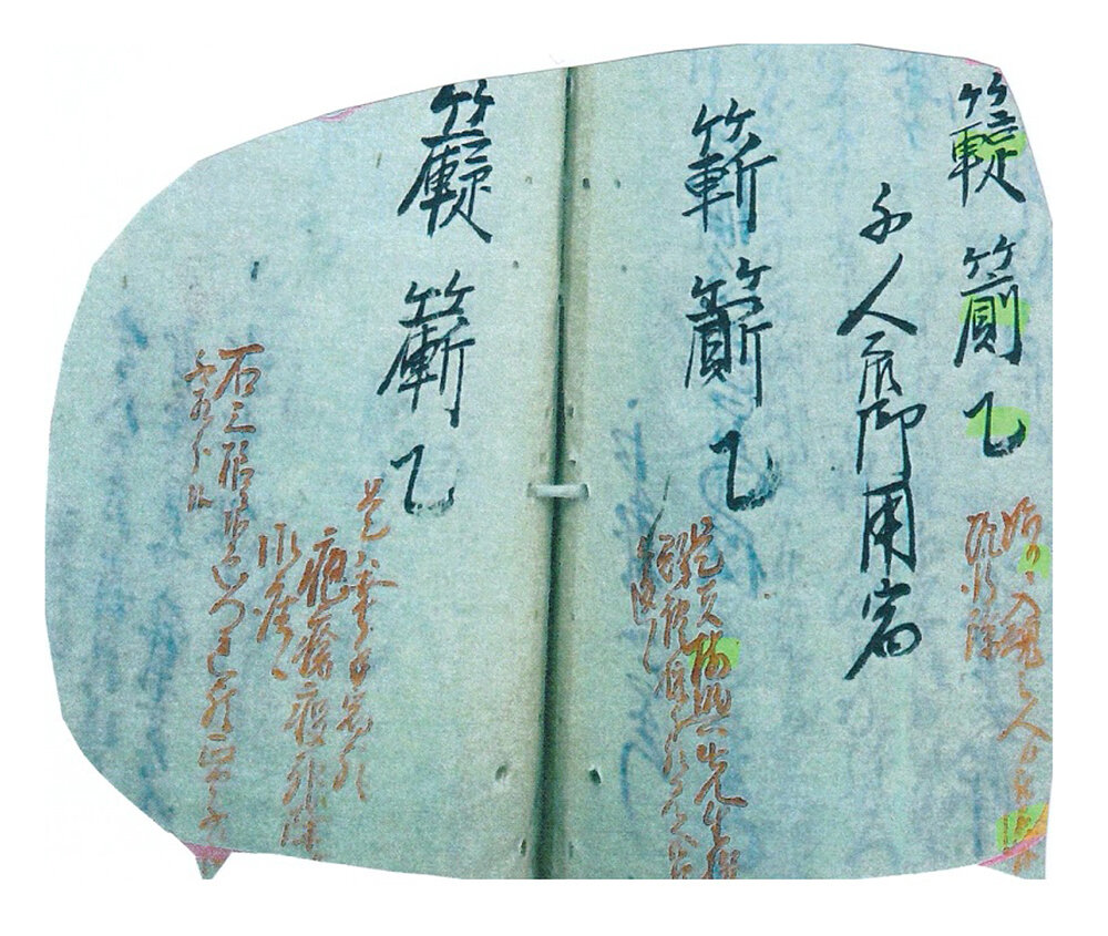 第4章 三右衛門日記のコレラ : 群馬県に残された風説留（古文書）