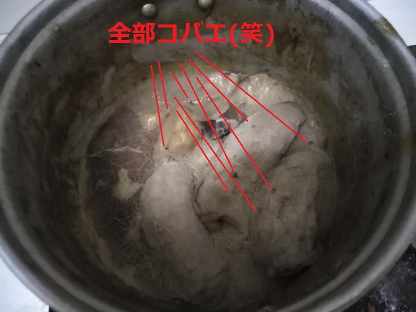 またカレー腐った パプアの冷蔵庫は物が保存できません パプアニューギニア Jica海外協力隊ブログ パプア服部くんのpng日記 またカレー腐った パプアの冷蔵庫は物が保存できません パプアニューギニア Jica海外協力隊ブログ パプア服部くんのpng日記