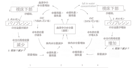 図10