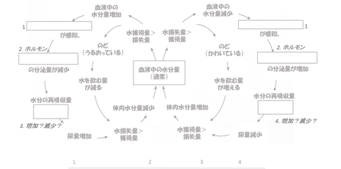 図1