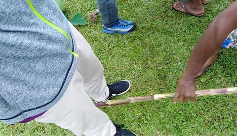 4AB43106-99A7-4DFC-BAA4-2FFC8CB1C66E