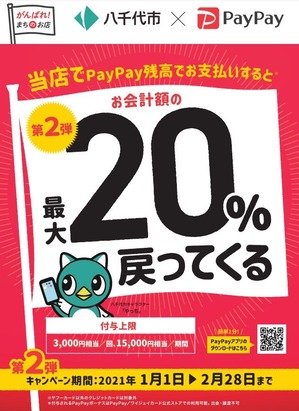 paypay2021-01-29