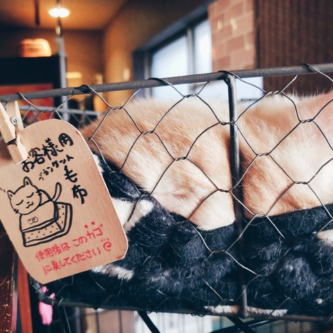 beauty_20190202135228