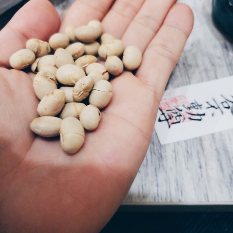 beauty_20190203214626