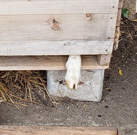 Screenshot_20180921-004413_Gallery