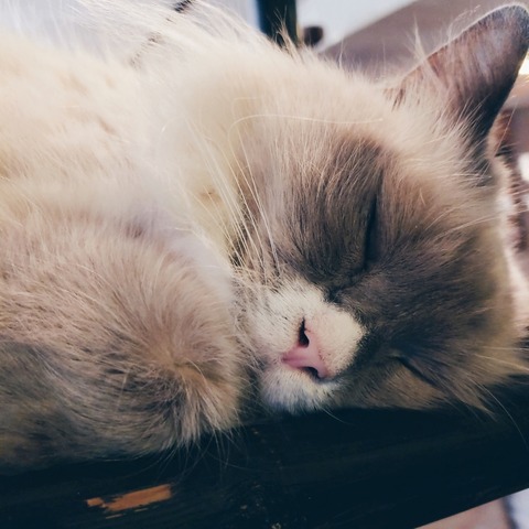 beauty_20190202135401