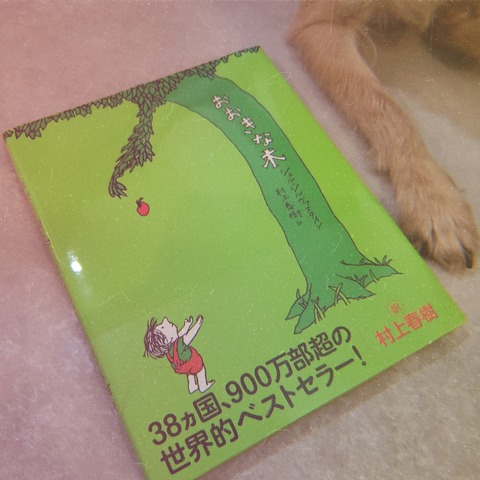 1998CAM_2019_06_08_04_20_02_FN