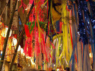 images2028529.jpg