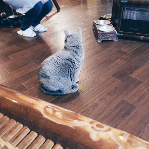 beauty_20190202131950