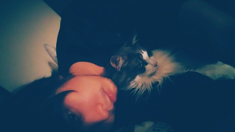 BeautyPlus_20180213231643_save