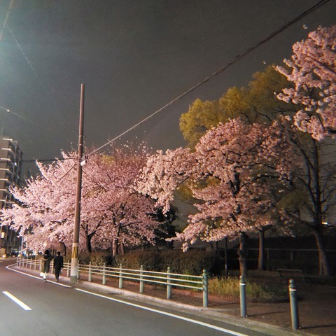 1998CAM_2019_04_07_23_30_28_FN