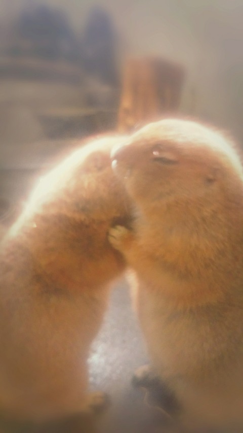 CYMERA_20180213_232530