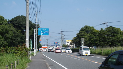P9110105