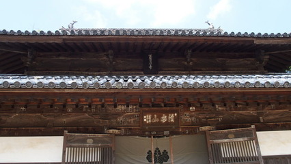 P9110158