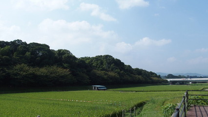 P9110109