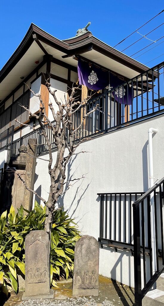 2月21日 月 十羅刹女社 その４ 大塚天祖神社 東福寺 男体社 高田氷川神社 他 中落合日乗 國學院大學元職員の日記