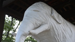 ep05_05pic