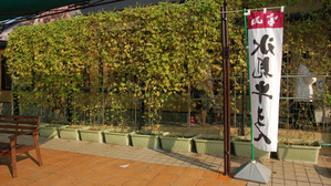 001pic