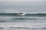 IMG_1504