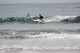 IMG_1981