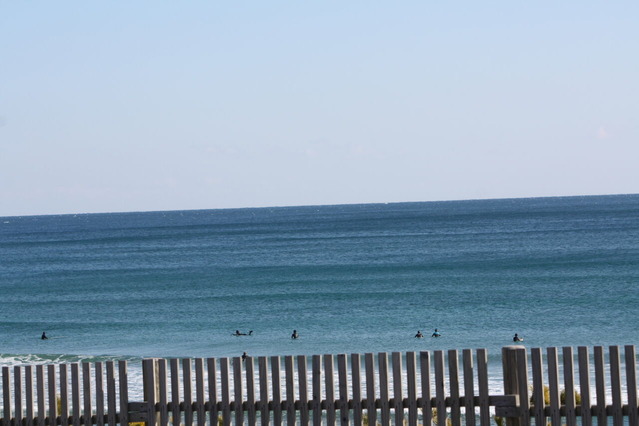 AAB15129-632F-4460-A393-A8F3EA2FEC7E