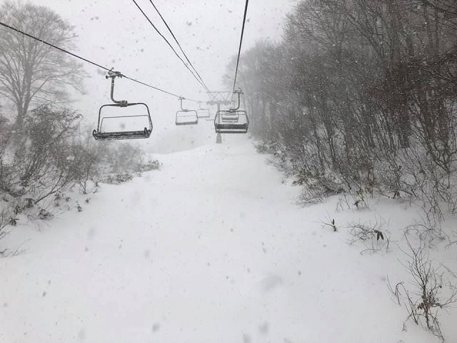 49037958_2047955615287787_3369588971142119424_n