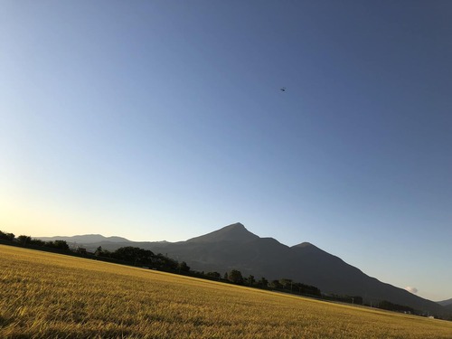 DAE08933-E21E-48B7-97DF-74B994F06EC9