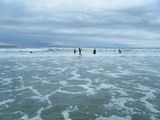 DSCF2020
