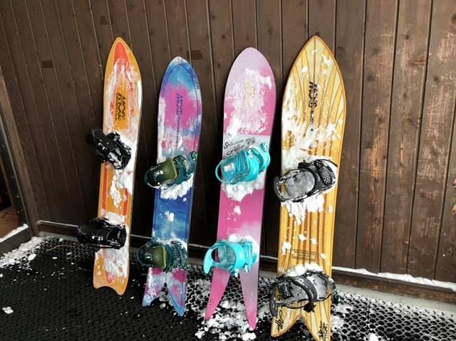 49548119_2047955595287789_4649429259016732672_n