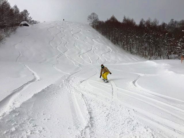 12647154_946777518738941_7290734742298789339_n