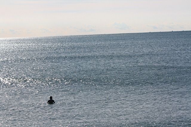 IMG_0355