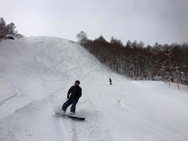 12494975_946777512072275_2843469295531348422_n