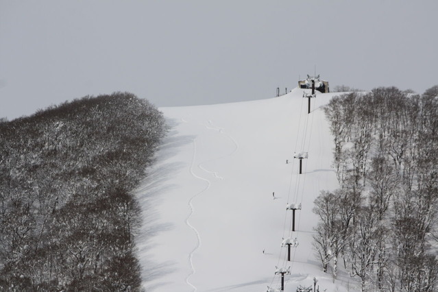 8CCE9BBA-DF16-4E8C-A806-E0EAFA0E0724