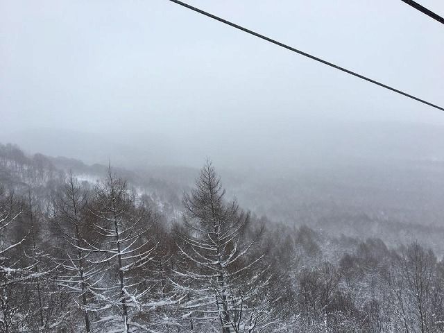 26001194_1567292796687407_3198787115751041520_n