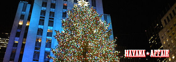banner_xmas
