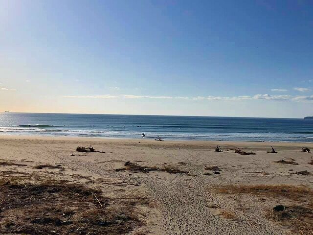 74339557_2599475943469082_8044924725564014592_n