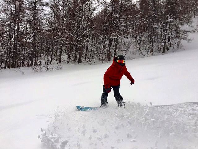 12642874_946777492072277_5296257195940978156_n