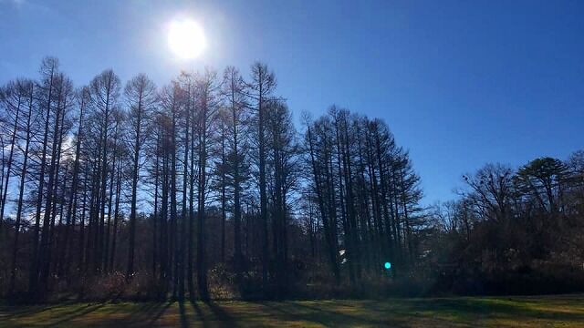 76775080_2620555268027816_7072198977587773440_n