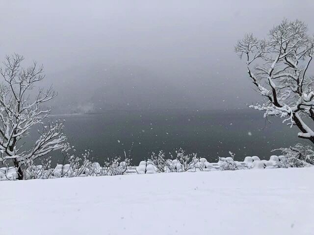 91029691_2896535753763098_2726628419855974400_n