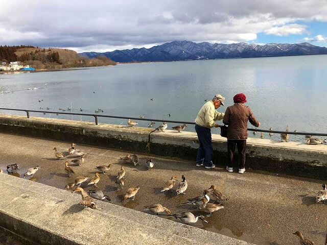 83184001_2764172113666130_1010720132483252224_n