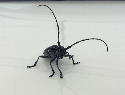 36373745_1762437003839651_3833107584097714176_n