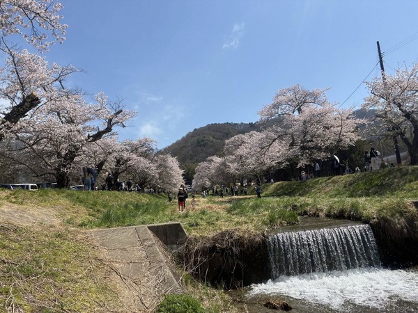 ���� 1