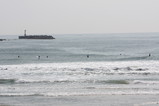 IMG_1501
