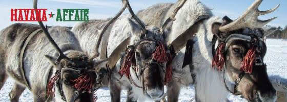 10866766_746288315426238_1074314893_n_Original