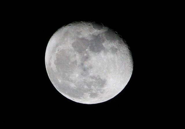 IMG_0346