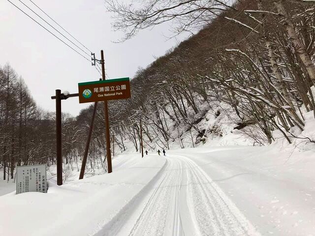 51715778_2114110465338968_5339163107962912768_n