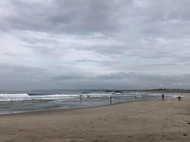 67214201_2372162429533769_1939590763968987136_n