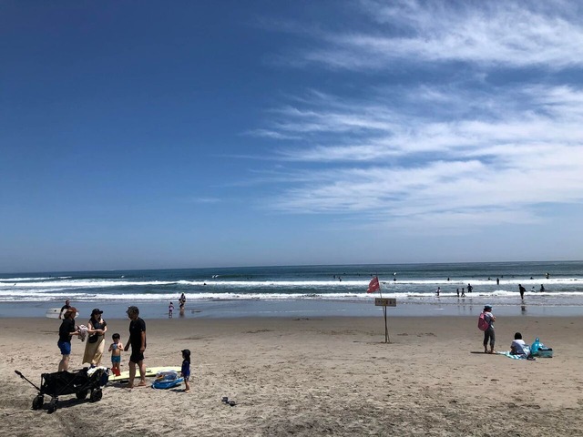 06F20039-6C4B-4300-99B8-4F06F5EC2C3D